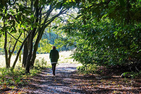 viewpark-conservation-group-credit-becky-duncan.jpg